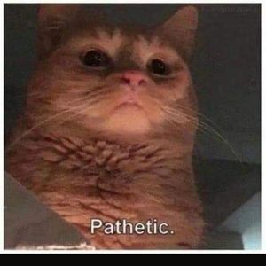 Meet your Posher, Jess